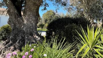 Overnattingsstedets uteområder