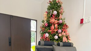 A living room with a Christmas tree, a laptop, and a potted plant.