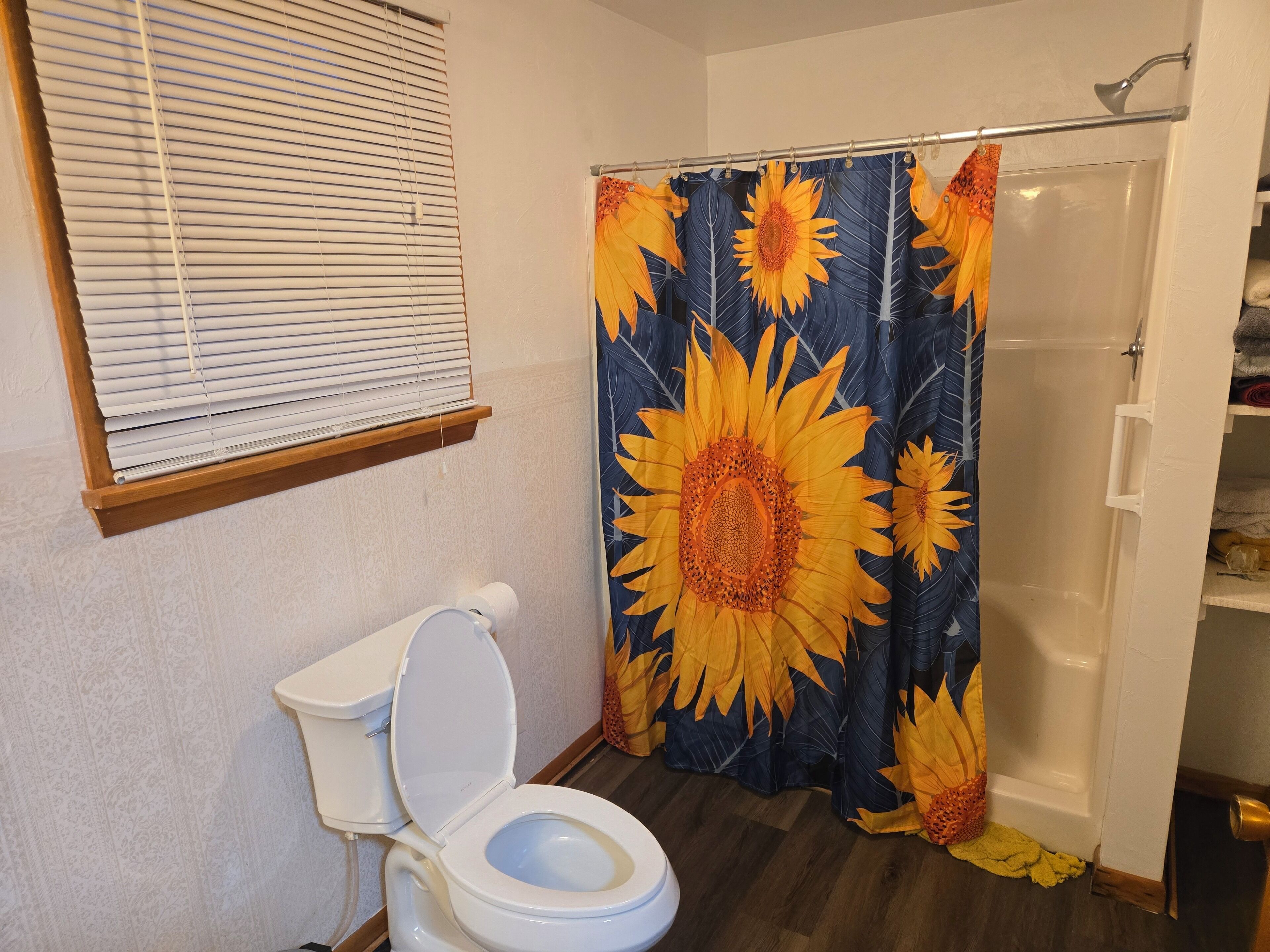 Asciugacapelli, asciugamani, sapone, shampoo