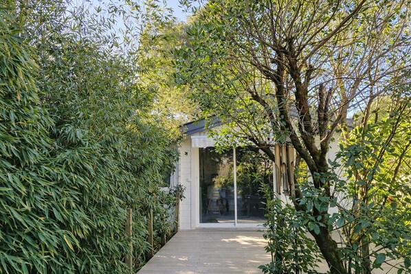 A pathway leading to a modern building with a glass facade, surrounded by lush greenery.