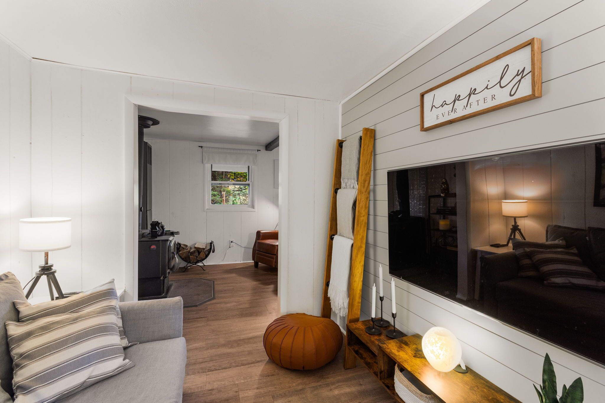 Smart TV, fireplace, books