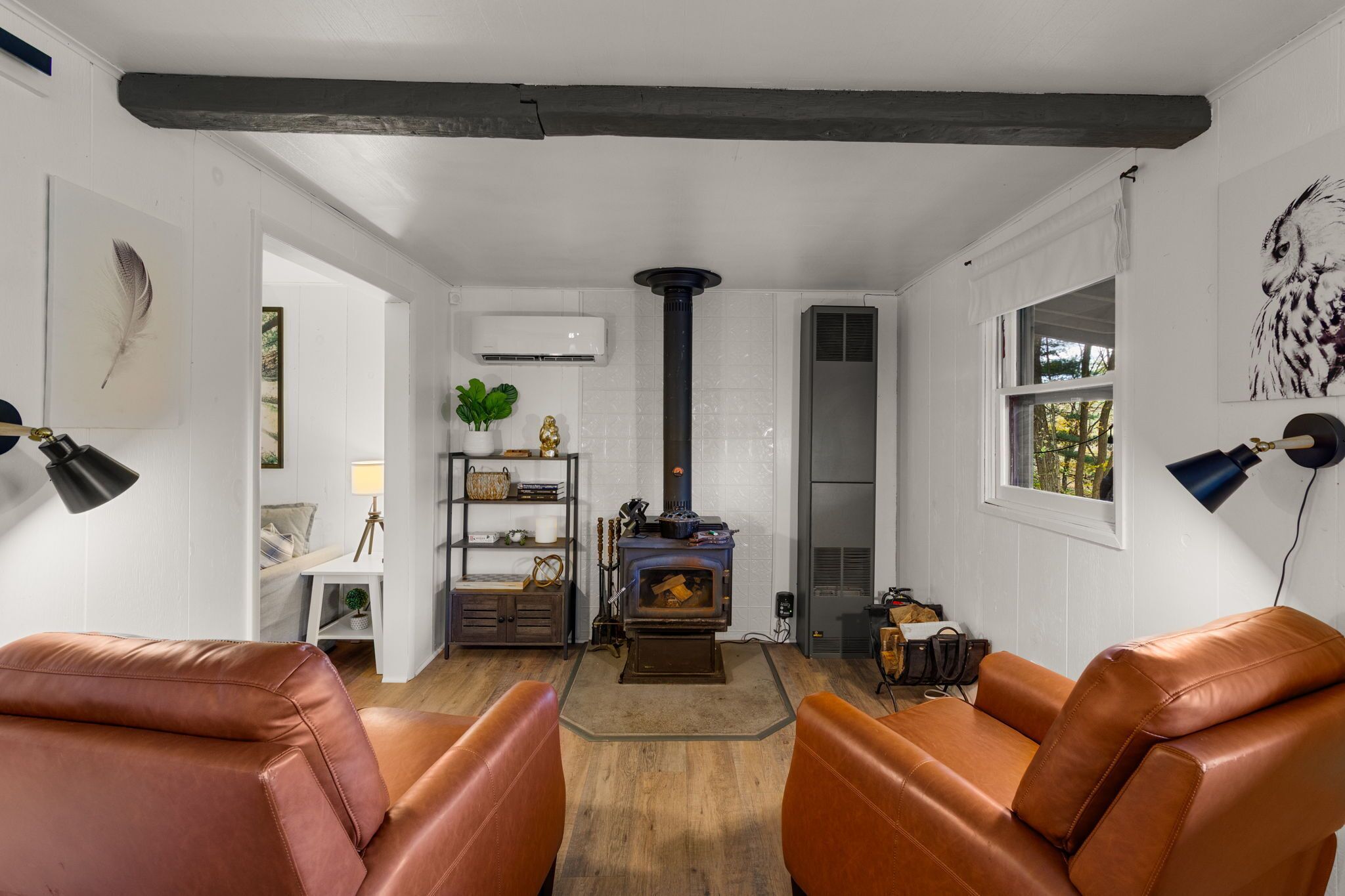 TV connectée, cheminée, livres