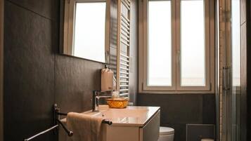 Shower, hair dryer, bidet, towels