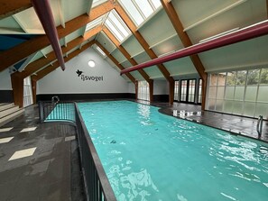 Pool - VELUWE WELLNESS CHALET - Private Hot Tub and Sauna on Park with Swimming Pool (Voorthuizen)