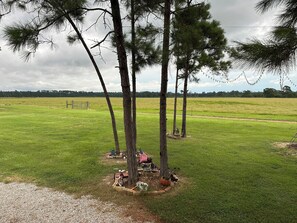 Unclassified image, 2 of 20, button