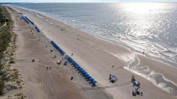 Vista aérea de una playa con una larga hilera de sombrillas azules, una orilla arenosa y el océano al fondo.