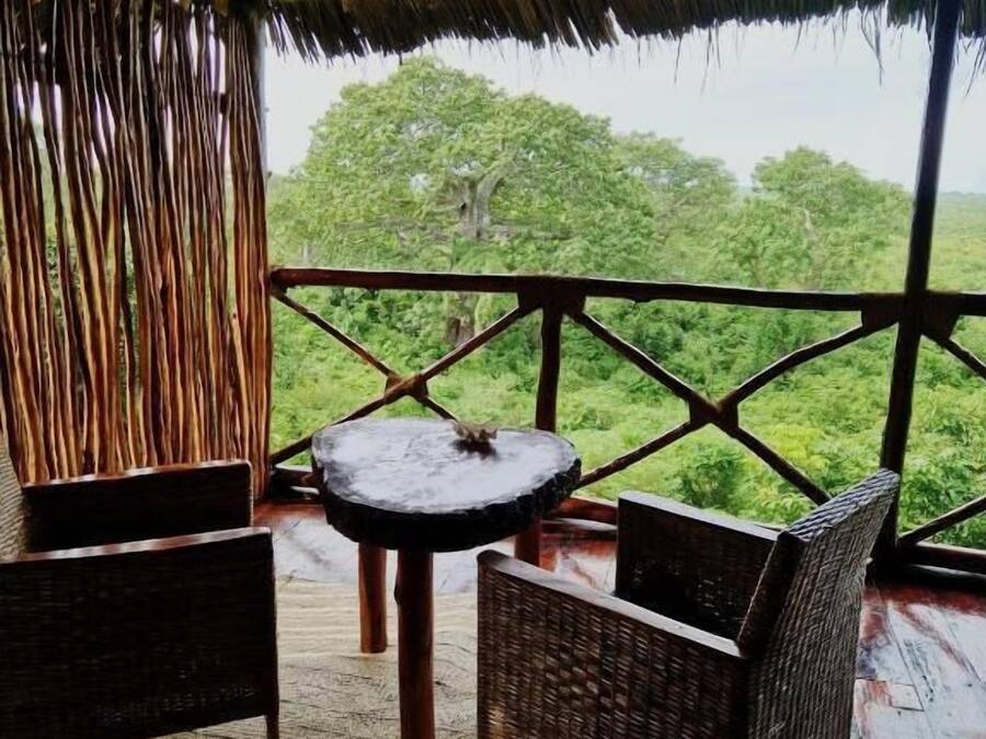 Bungalow, terras, uitzicht op oceaan | Terrein van de accommodatie