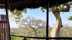 Deluxe Double Room, Terrace, Ocean View | Property grounds - MONKEY MOUNTAIN LODGE (Mtende)