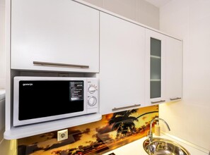 Kühlschrank, Mikrowelle, Herdplatte, Kochgeschirr/Geschirr/Besteck