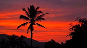 Photo non classée, 3 sur 66, bouton