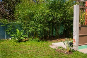 A garden with bamboo, a fence, and a concrete structure.