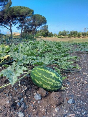 Botón de imagen sin clasificar, 3 de 21