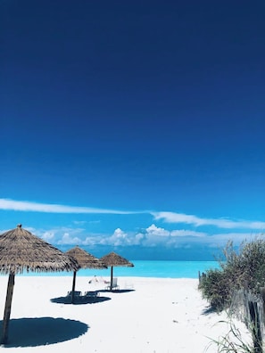 Uma praia com guarda-sóis de palha e espreguiçadeiras.
