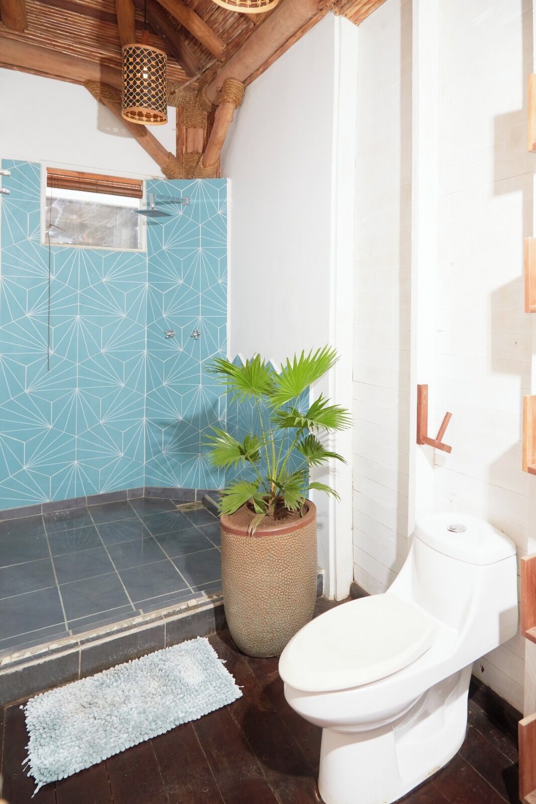 Shower, soap, shampoo, toilet paper