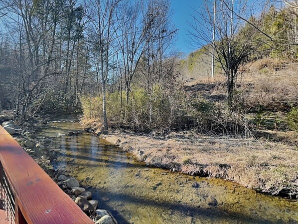 A river flowing through a forested area with a wooden bridge crossing over it. - Caney Creek (Cosby)