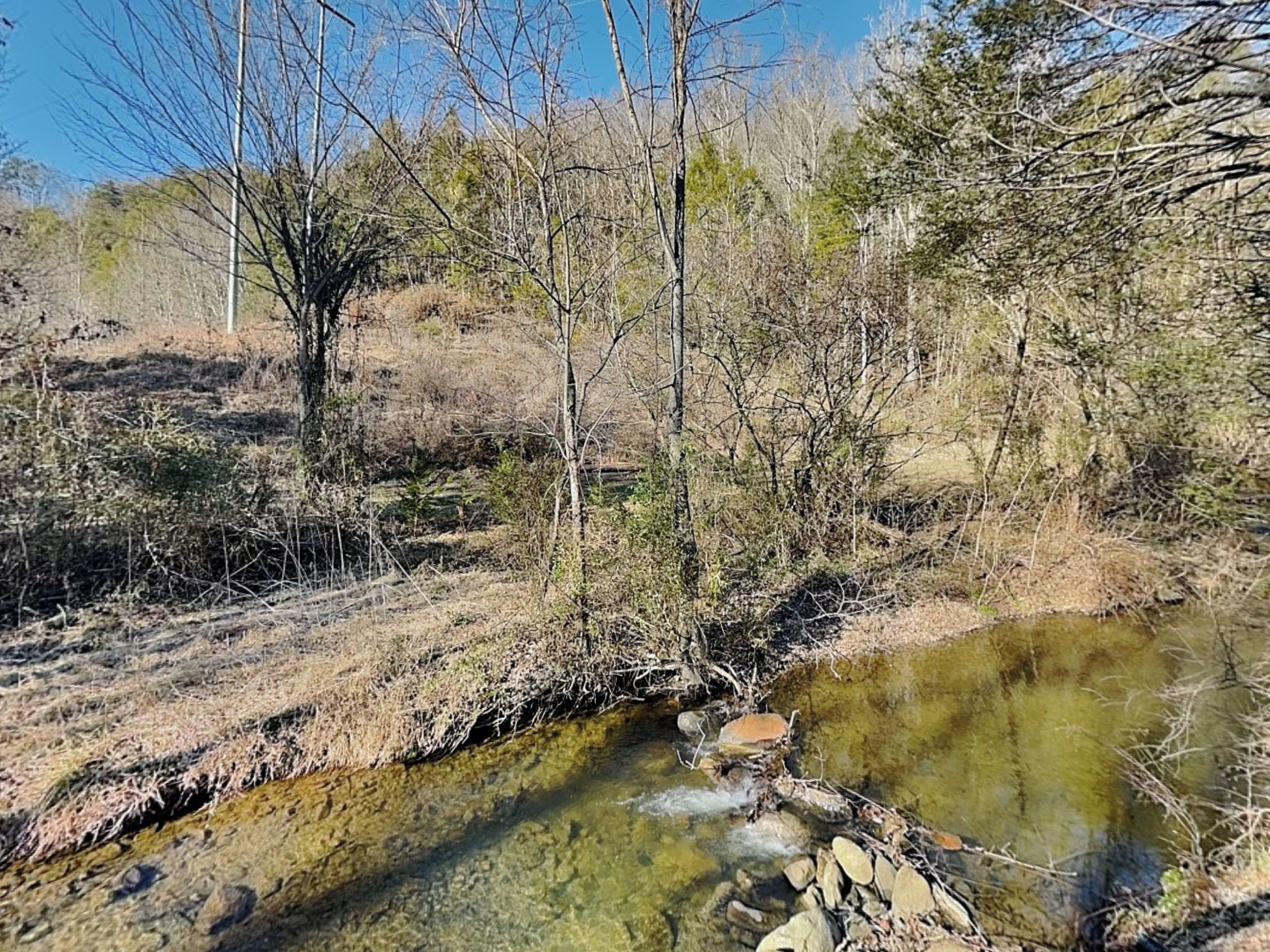 A natural landscape with a clear stream, dry grass, and leafless trees.
