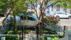 A gated driveway with a car parked inside, surrounded by lush greenery and trees. - Charming Uptown Guest Suite Private Bed & Bath (New Orleans)