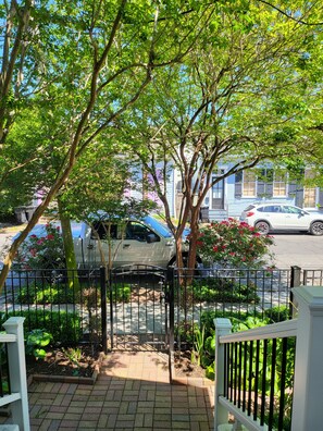 Property grounds - Charming Uptown Guest Suite Private Bed & Bath (New Orleans)