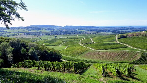 Luokittelematon kuva, 1 kautta 19, painike