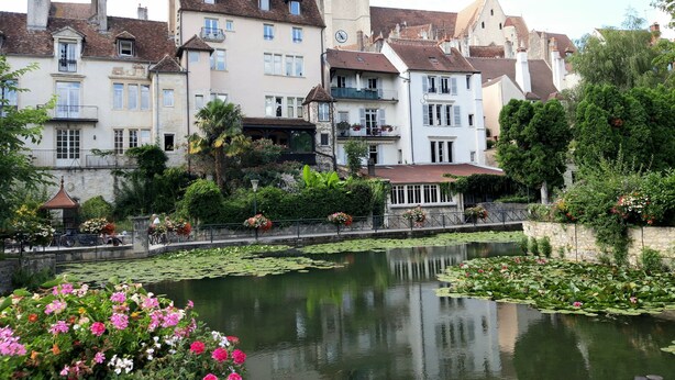 A historic European town with a prominent tower, traditional buildings, and a calm water body with lily pads. - Grand T3 familial en centre-ville (Lons-le-Saunier)
