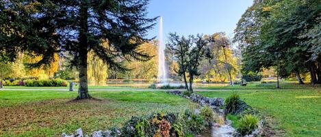 Un parque con una fuente, árboles y una zona cubierta de césped.