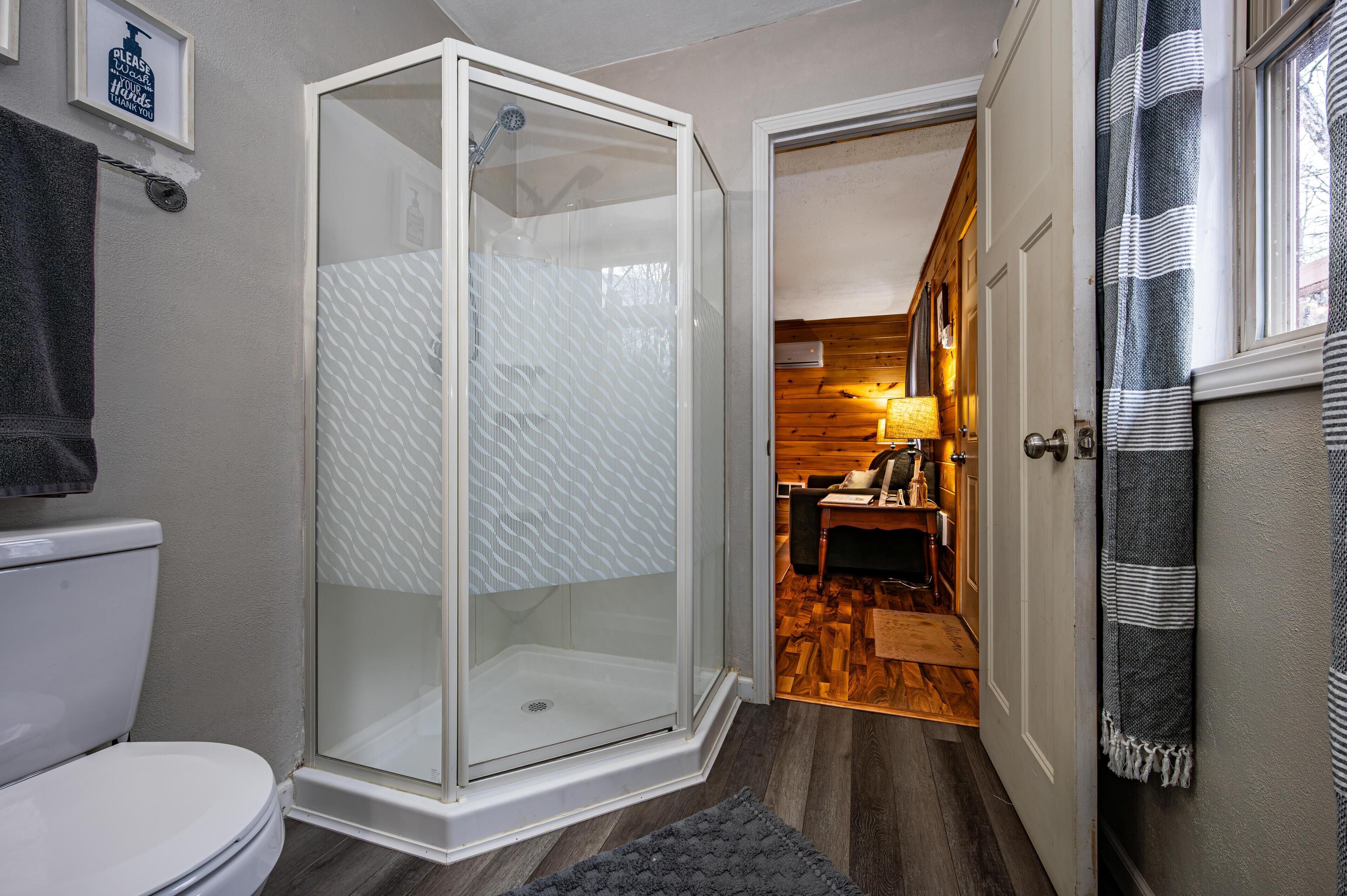 Shower, hair dryer, towels