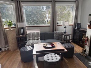 Living area - Cozy Mountain Retreat in East Vail with Waterfall Views (Vail)