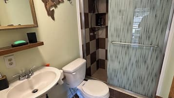 Secador de cabelo, toalhas de banho, sabonete, papel higiênico