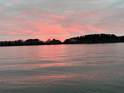 Water front fishing camp. Fisherman or birdwatchers piece of paradise.