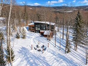 A modern cabin with a large glass facade, surrounded by snow-covered trees and a clear sky.
