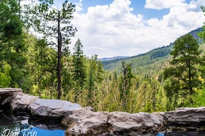 A natural landscape with a rocky foreground, dense forest, and a mountain range in the distance. - Pitt Paradise: Pet-Friendly Oasis - An Irvie Home (Albuquerque)
