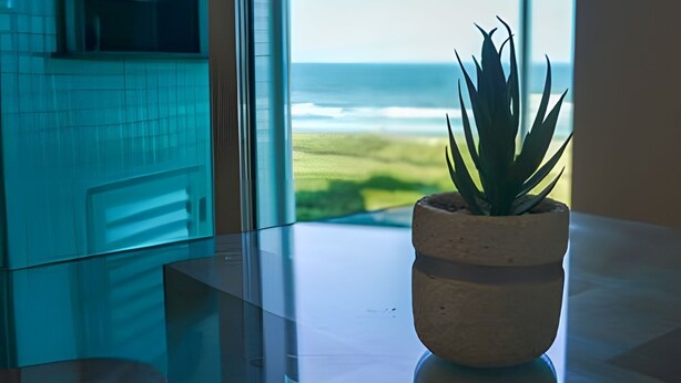 Una planta en maceta sobre una encimera de cocina, con vista al océano a través de una ventana.