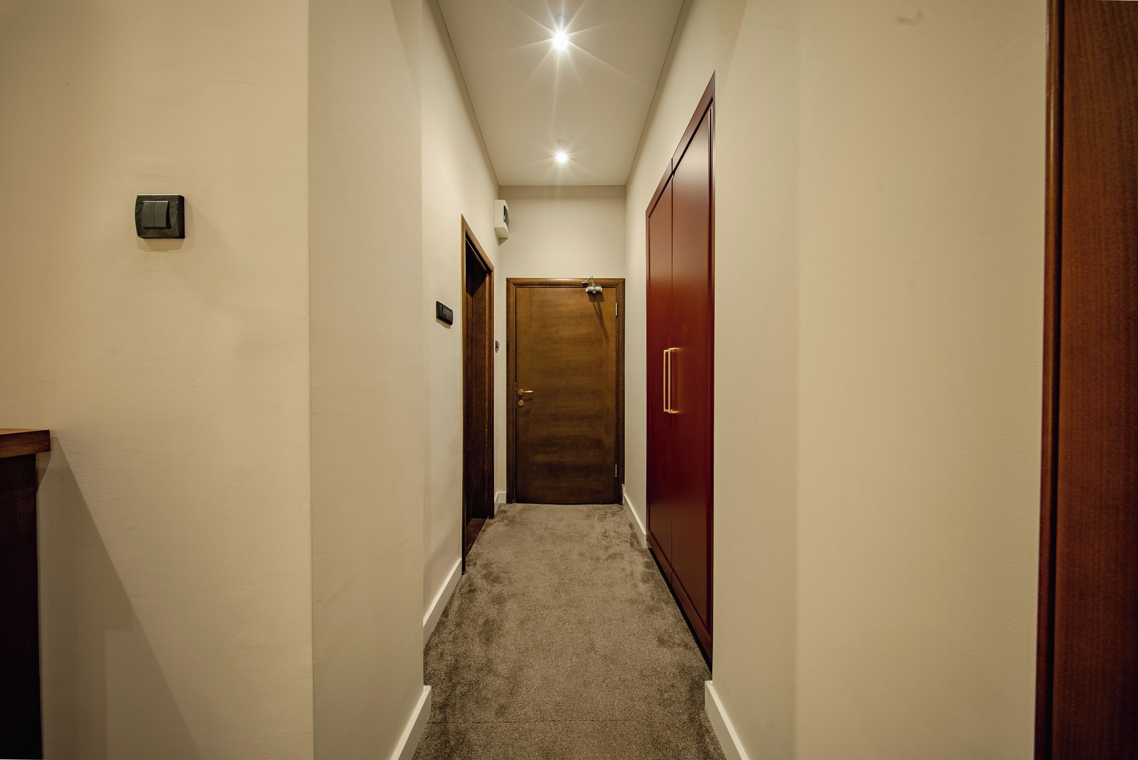 A narrow hallway with a carpeted floor, a wooden door at the end, and a light fixture on the ceiling.