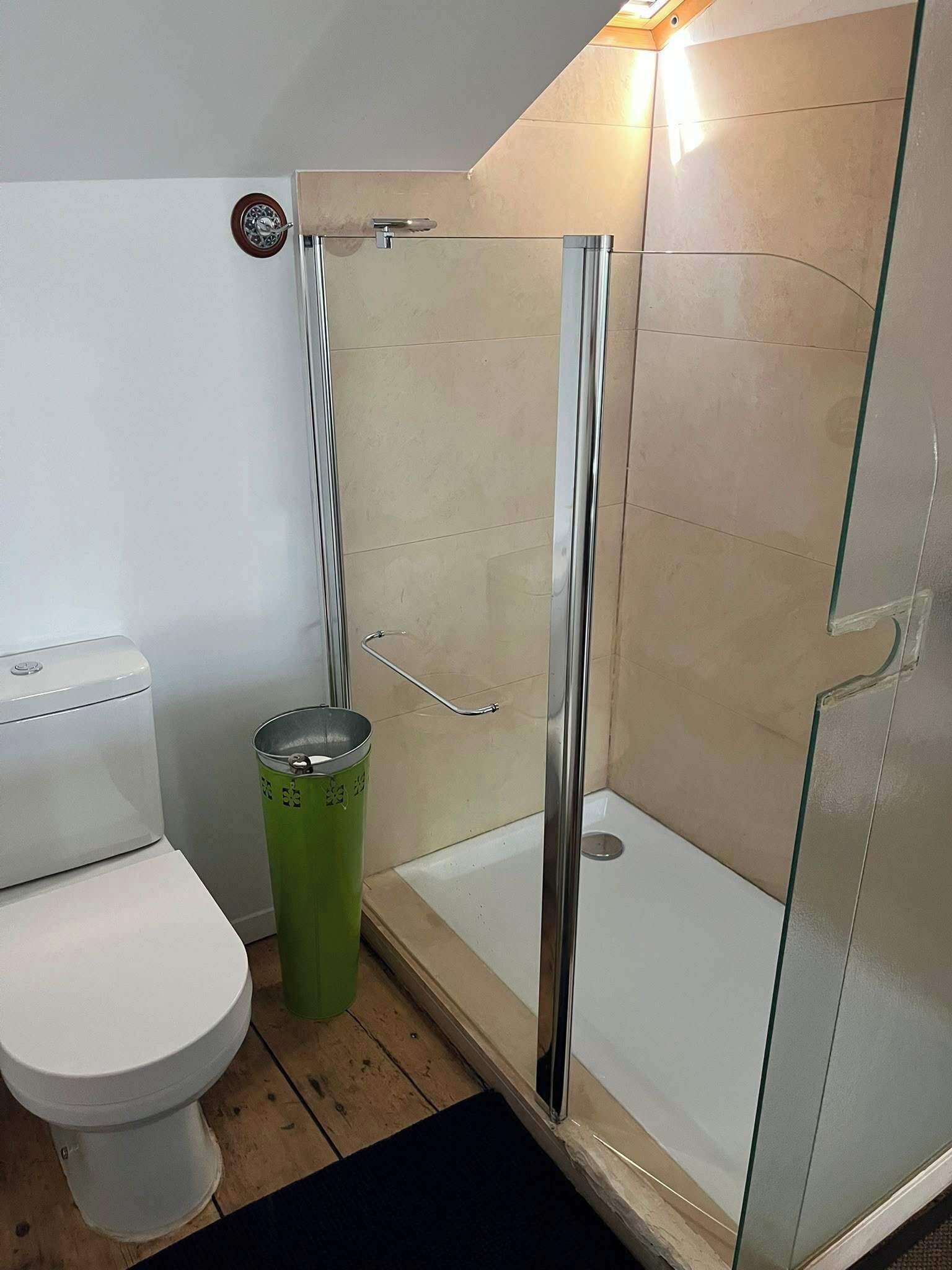 Shower, hair dryer, shampoo