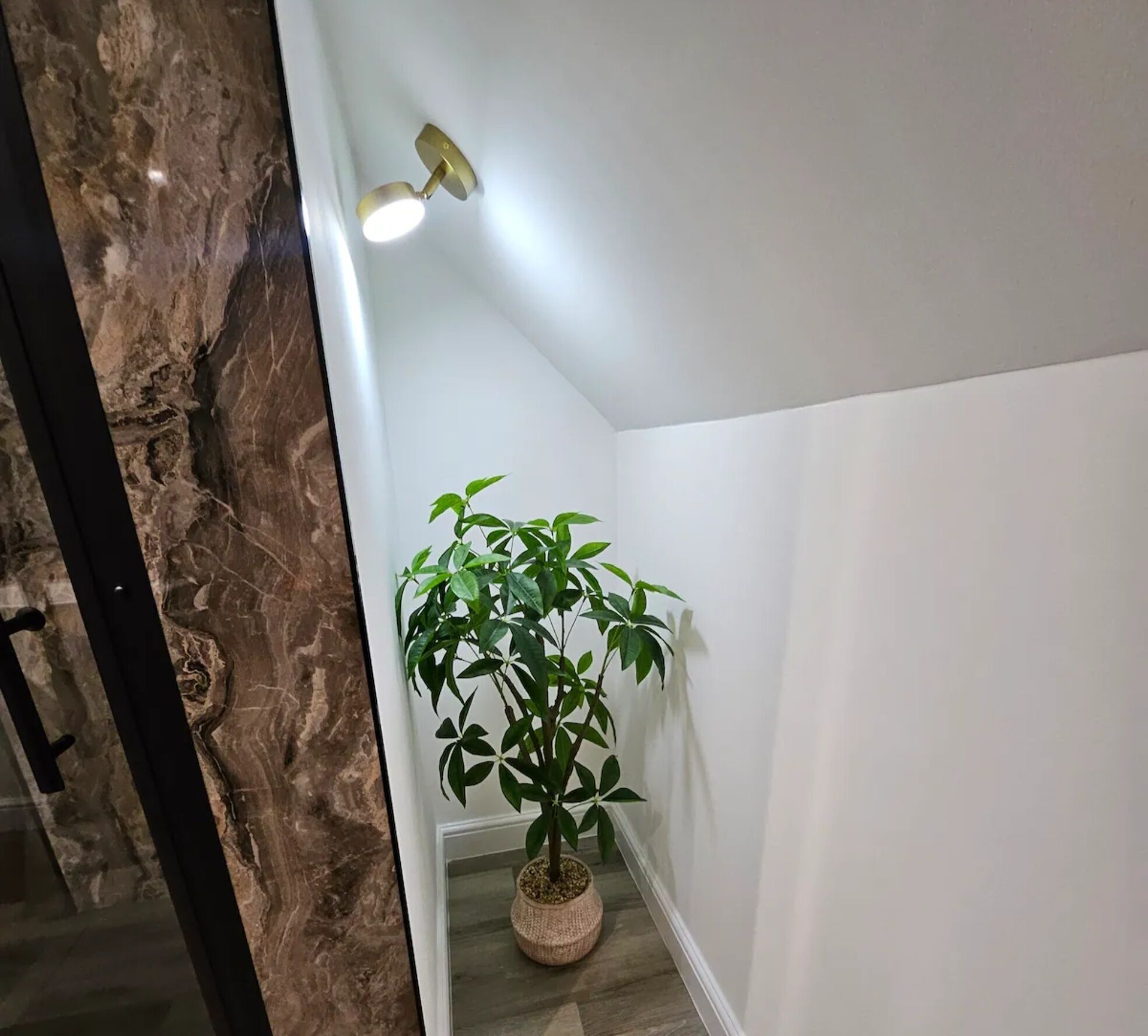 Un passadís amb paret de marbre, una planta en test i un llum de sostre.