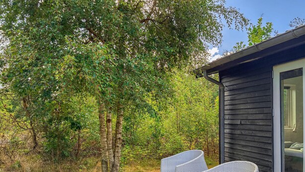 Eine Holzblockhütte mit Glastür, einem Korbstuhl und einem großen Baum im Hintergrund.