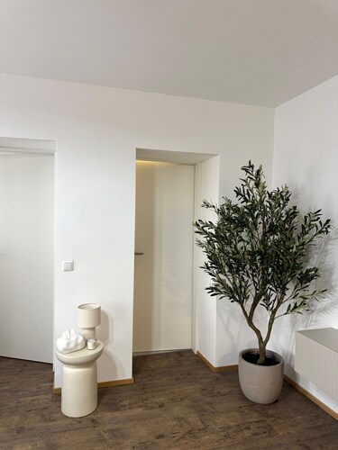 Livvalu Apartments Linz