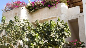 A building with a large tree in front, a balcony with pink flowers, and a wooden door. - Taormina Starlink House -10 guests, AC, Safe Neighborhood (La Barra de Colotepec)