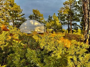 Imagen sin descripción, 5 de 7, botón