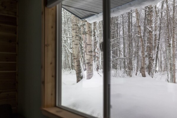 Ein Fenster mit Blick auf einen verschneiten Wald.