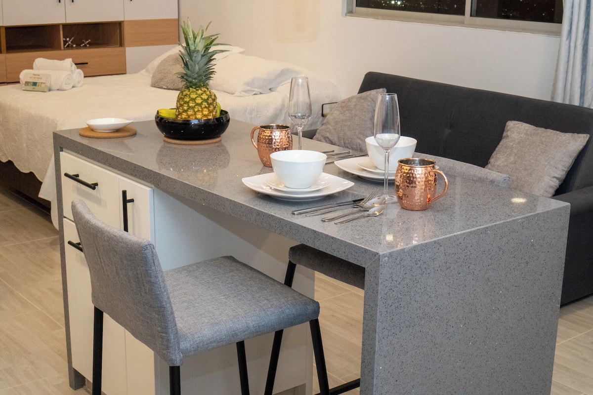 Apartment, eigenes Bad, Stadtblick | Schreibtisch, laptopgeeigneter Arbeitsplatz, Verdunkelungsvorhänge