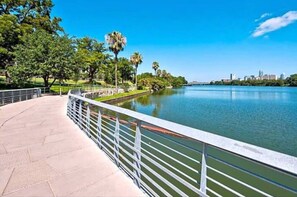 Unclassified image, 2 of 22, button - Lady Bird Condo. Walk Downtown. Relax by Pool (Austin)