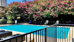 A swimming pool with a metal railing, surrounded by a garden with pink flowering bushes. - Lovely South Austin Condo. All Essentials Included (Austin)