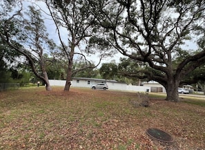 Property grounds - Cozy 2-bedroom house in charming Sarasota (Sarasota)