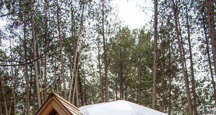 The Bonne Chere Geodesic Dome - Waterfront Glamping in the Ottawa Valley