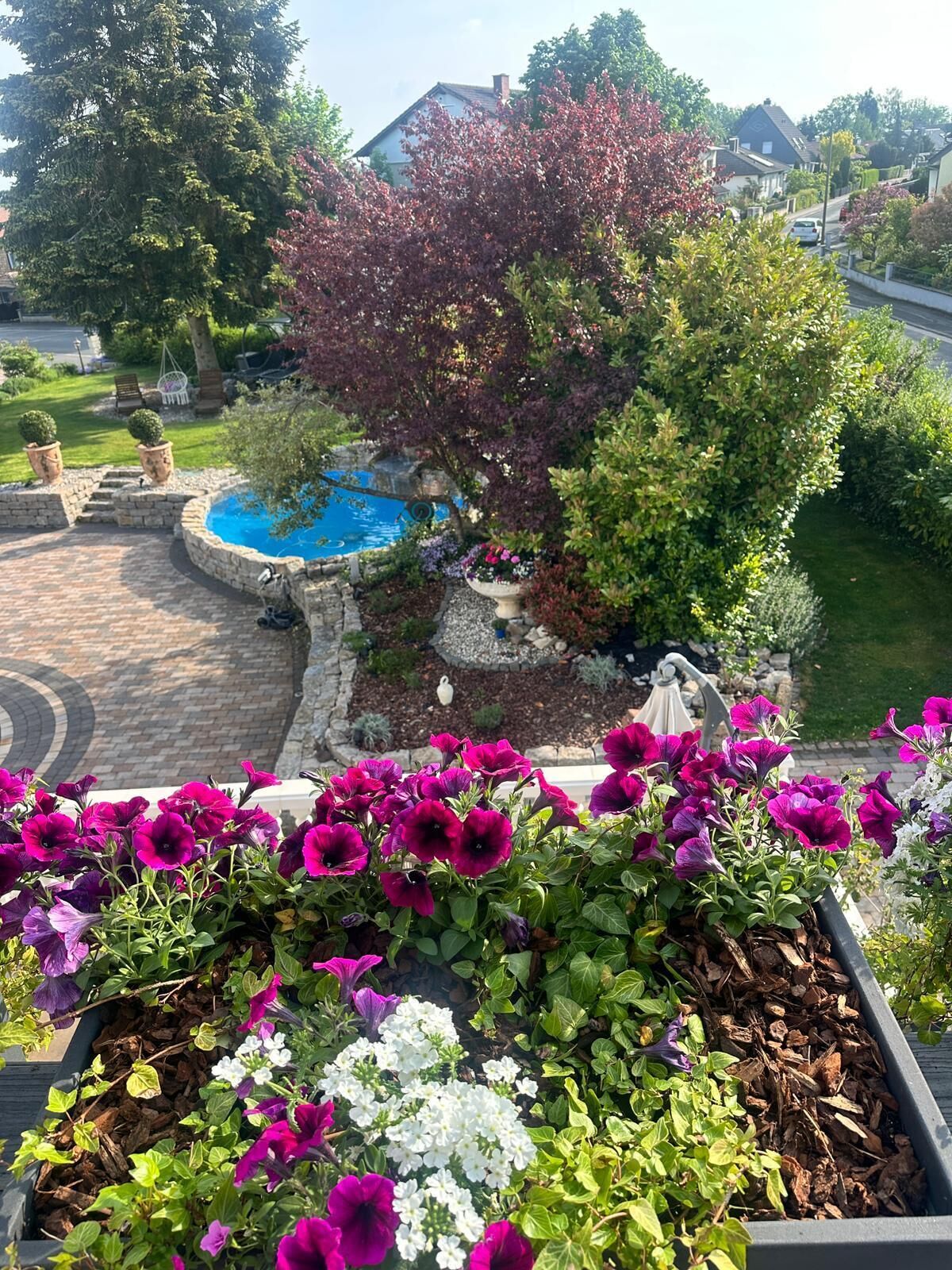 Et boligområde med en swimmingpool, et træ med røde blade og en blomsterbed med lilla blomster.