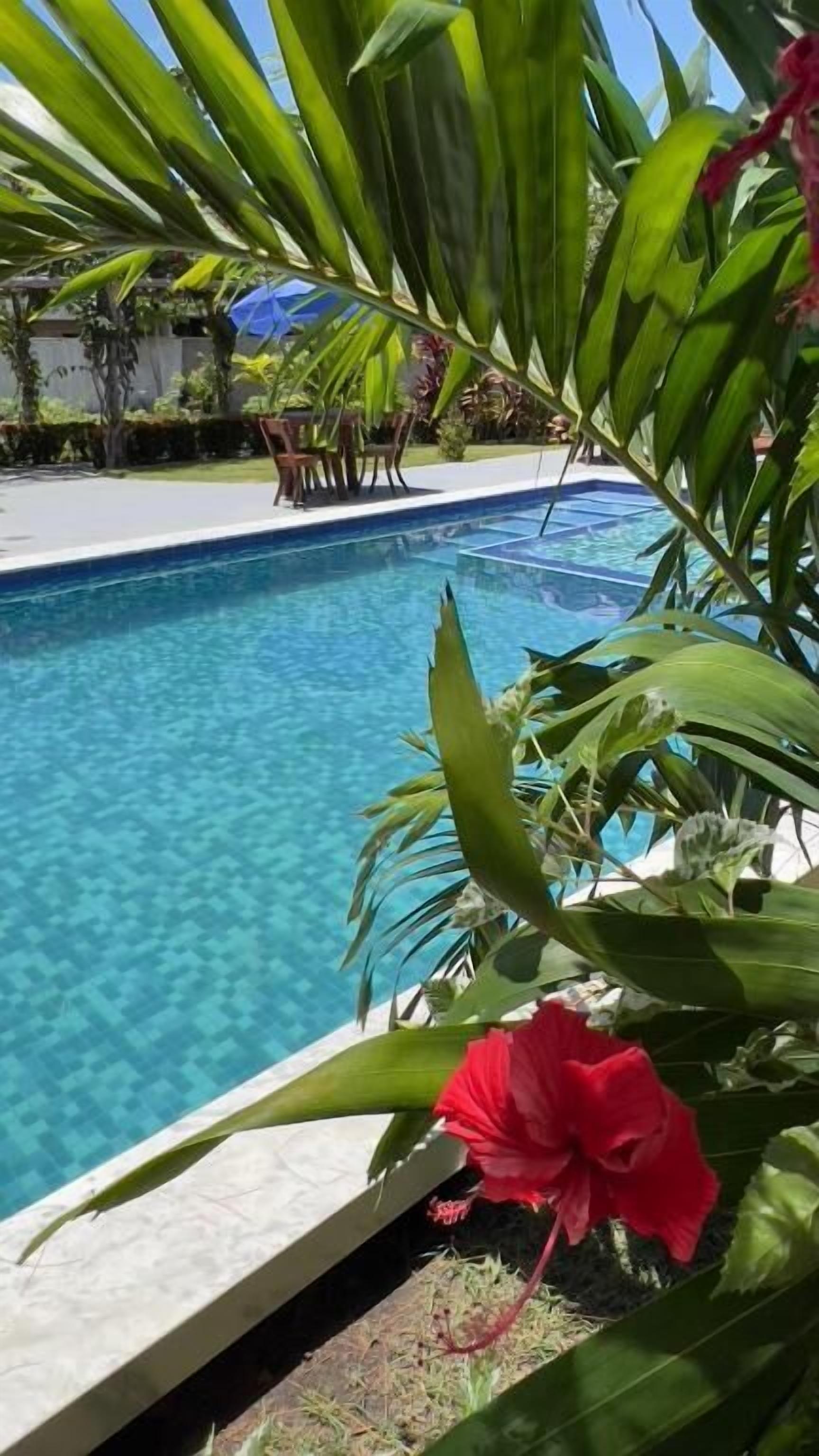 Piscine couverte, parasols de plage, chaises longues
