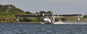 Ein Wasserflugzeug landet auf dem Wasser, im Hintergrund eine bewaldete Küste.