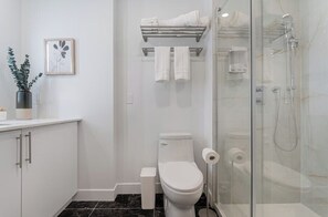 Deluxe Apartment, City View | Bilik Mandi | Gabungan pancuran/tab mandi, pengering rambut, tuala disediakan 