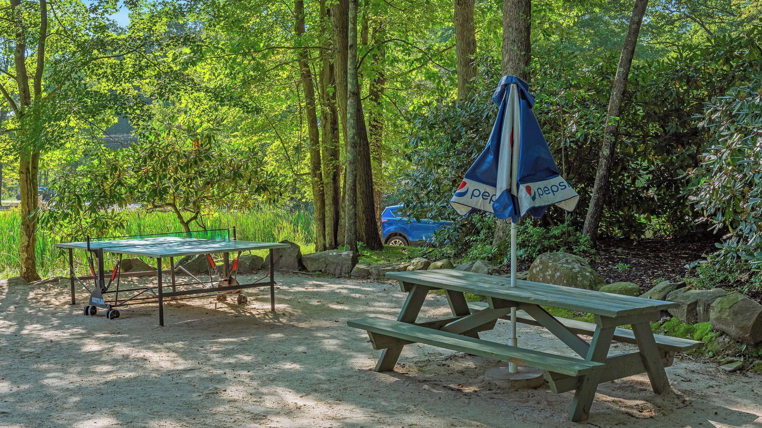 A picnic table and umbrella in a forested area with a car nearby.